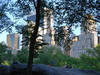 Visión general: Central Park
